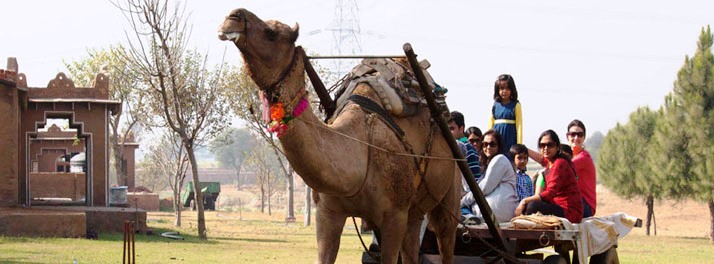 1683/Surjivan Resort - Tauru 17.jpg